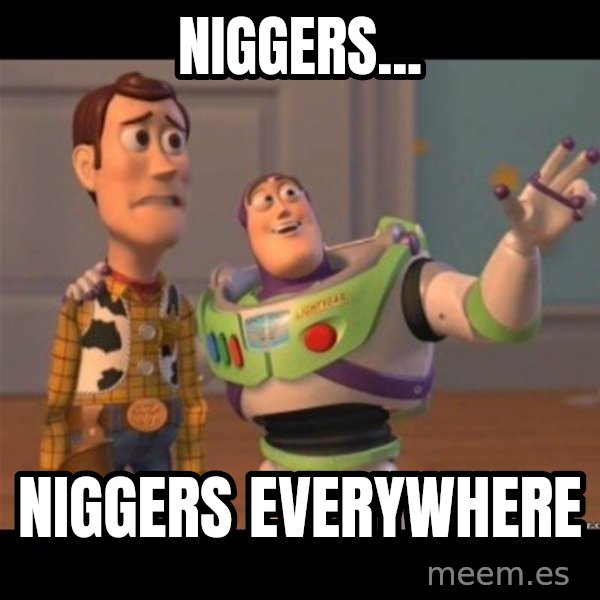 Buzz lightyear meme fixd meme: niggers... / niggers everywhere