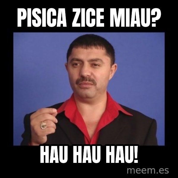 Manelistul Nicolae Guta meme: Pisica zice miau? / Hau hau hau!
