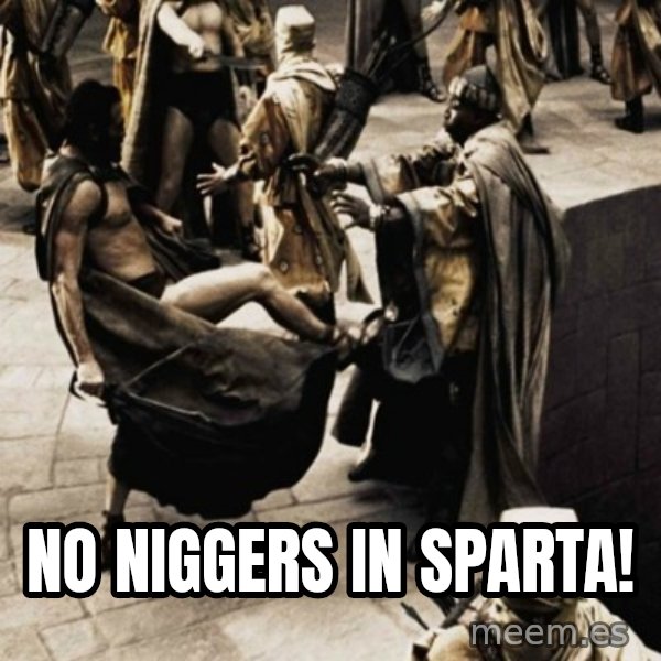 sparta kick meme: no niggers in sparta!