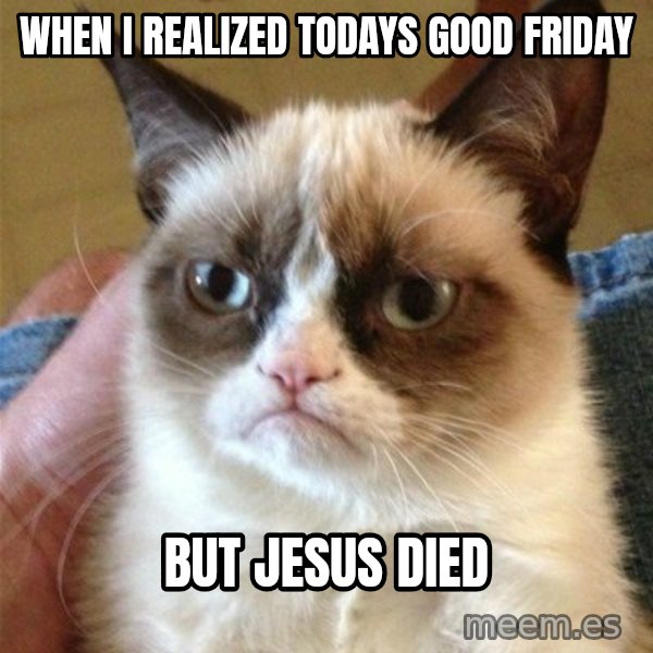 Grumpy Cat  meme: When i realized todays good friday / but Jesus died