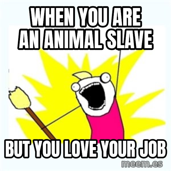 All the things meme: when you are an animal slave / but you love your job
