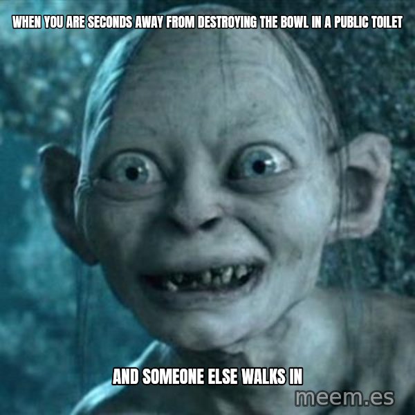 My Precious Gollum meme: when you are seconds away from destroying the bowl in a public toilet / and someone else walks in
