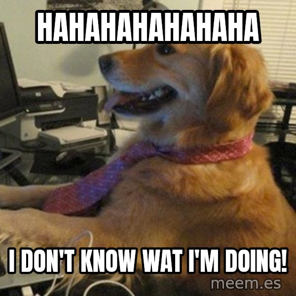 I have no idea what I'm doing - Dog with Tie meme: hahahahahahaha / I don't know wat I'm doing!