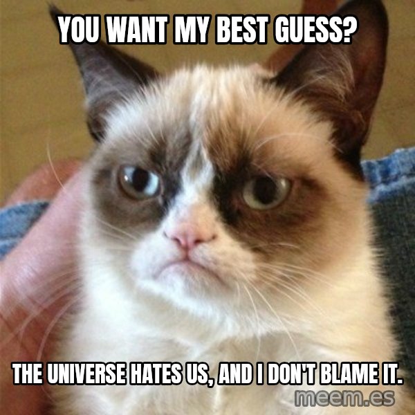 Grumpy Cat  meme: You want my best guess? / The universe hates us, and I don't blame it.