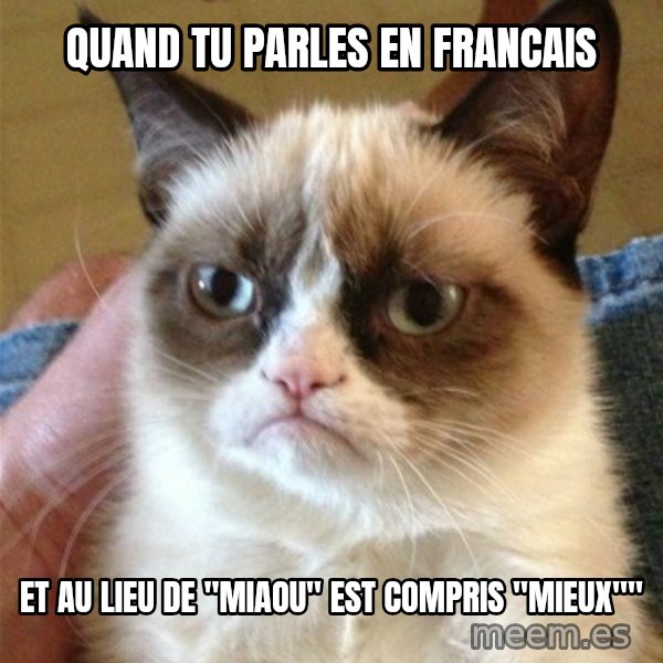 Grumpy Cat  meme: Quand tu parles en francais / Et au lieu de "miaou" est compris "mieux""
