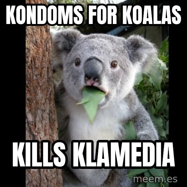 Koala can't believe it meme: Kondoms for Koalas / kills Klamedia