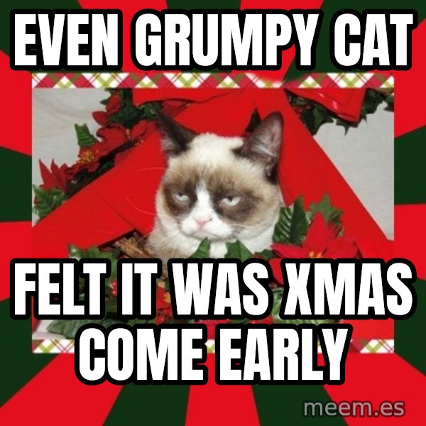GRUMPY CAT ON CHRISTMAS meme: Even Grumpy Cat / Felt it was Xmas come early