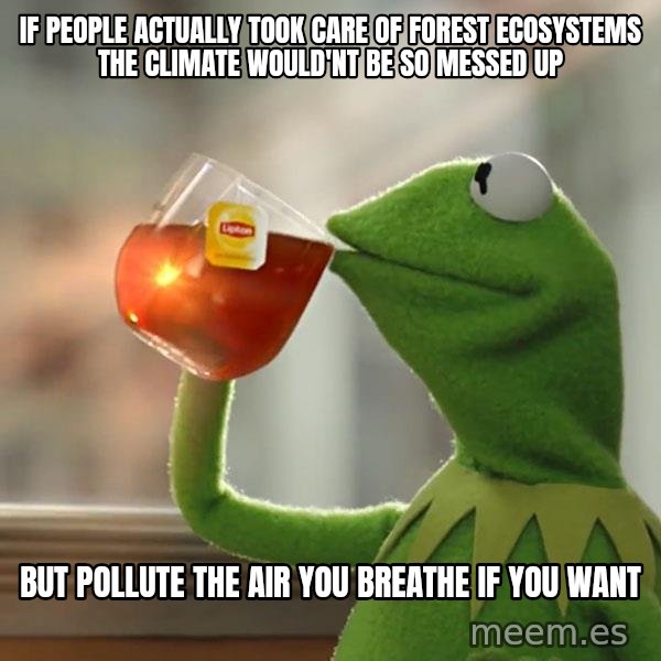 Kermit The Frog Drinking Tea meme: If people actually took care of forest ecosystems the climate would'nt be so messed up / But pollute the air you breathe if you want
