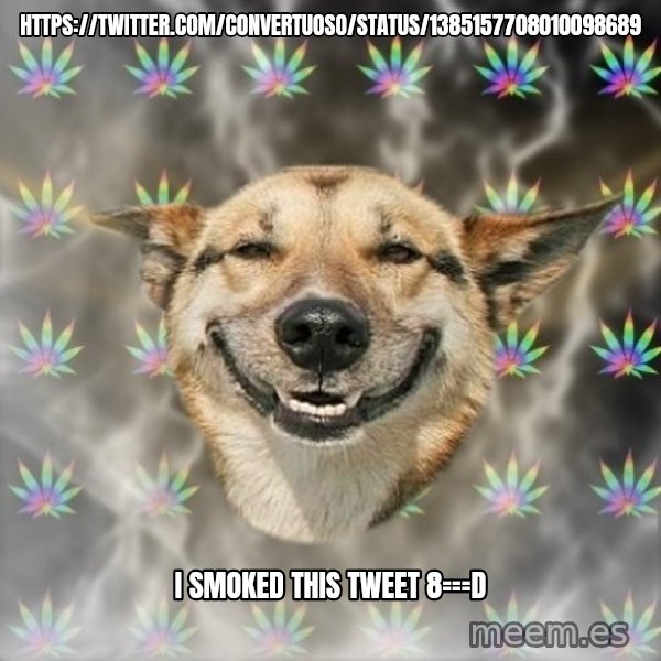 Stoner Dog meme: https://twitter.com/Convertuoso/status/1385157708010098689 / I smoked this Tweet 8===D