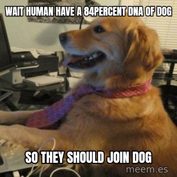 I have no idea what I'm doing - Dog with Tie meme: Wait human have a 84percent dna of dog / So they should join dog