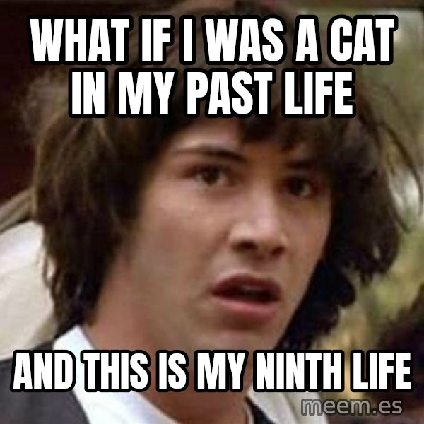 Conspiracy Keanu meme: what if I was a cat in my past life / and this is my ninth life