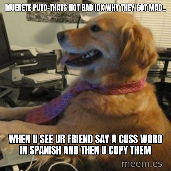 I have no idea what I'm doing - Dog with Tie meme: muerete puto-thats not bad idk why they got mad.. / when u see ur friend say a cuss word in spanish and then u copy them