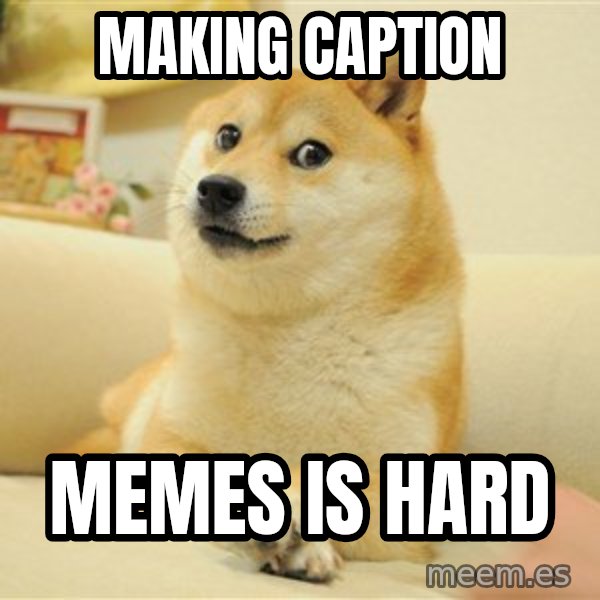 so doge meme: making caption / memes is hard