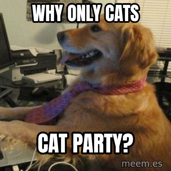 I have no idea what I'm doing - Dog with Tie meme: Why only cats / Cat party?