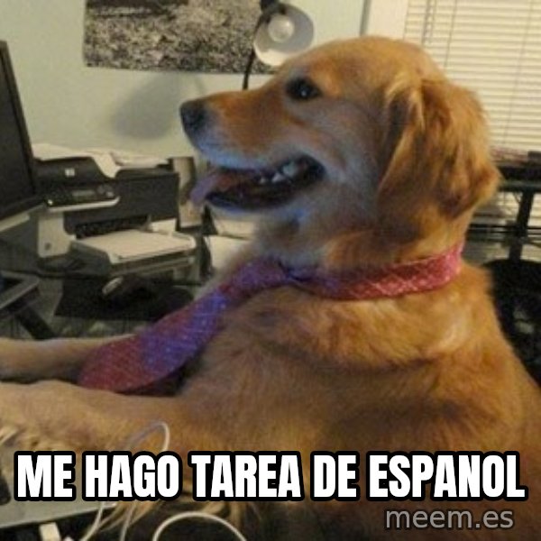 I have no idea what I'm doing - Dog with Tie meme: Me hago tarea de espanol