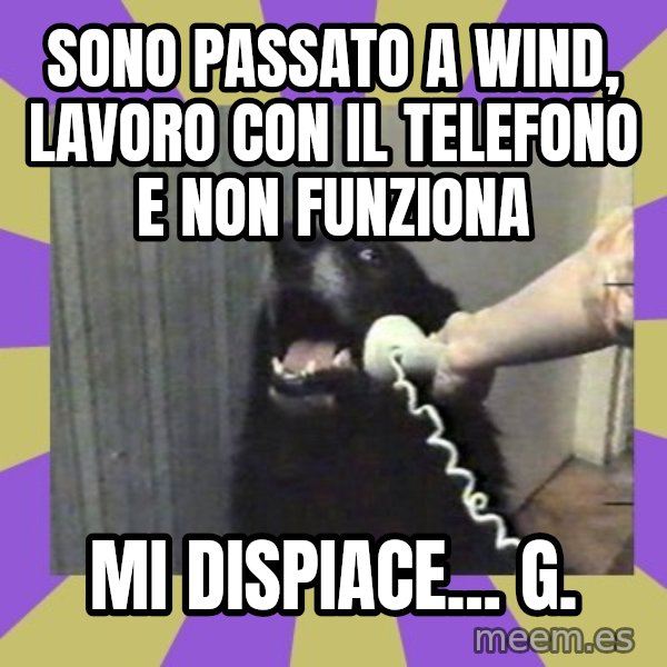 Yes, this is dog! meme: sono passato a wind, lavoro con il telefono e non funziona / mi dispiace... G.