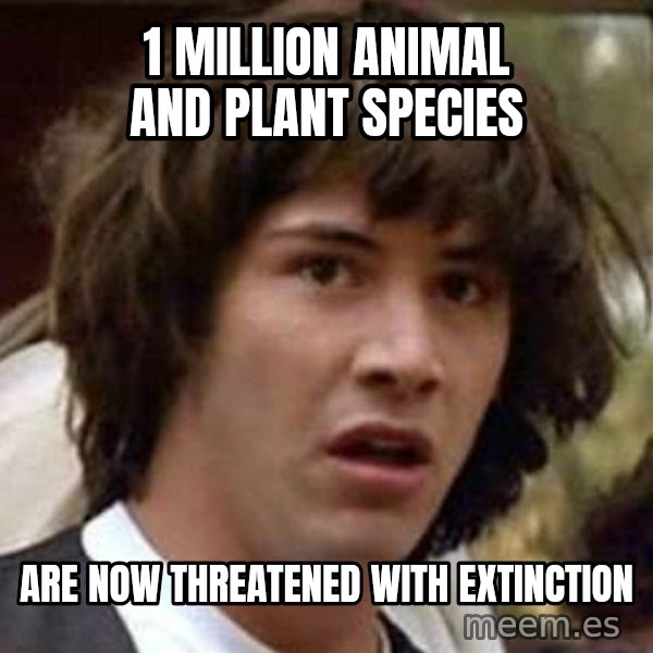 Conspiracy Keanu meme: 1 million animal and plant species / are now threatened with extinction