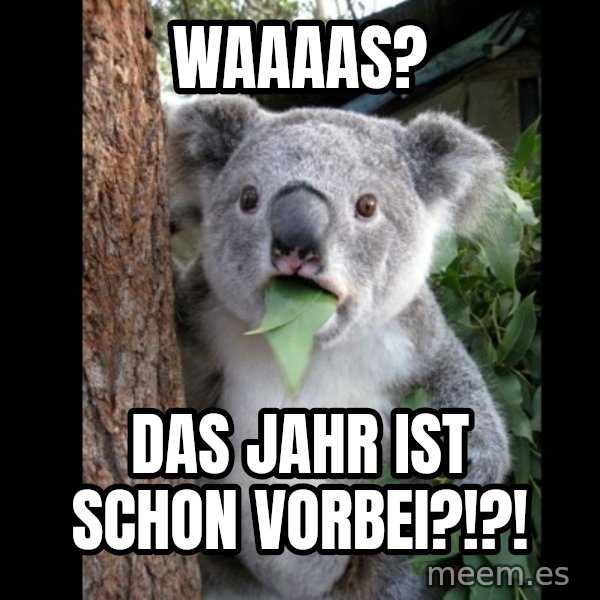 Koala can't believe it meme: Waaaas? / Das Jahr ist schon vorbei?!?!