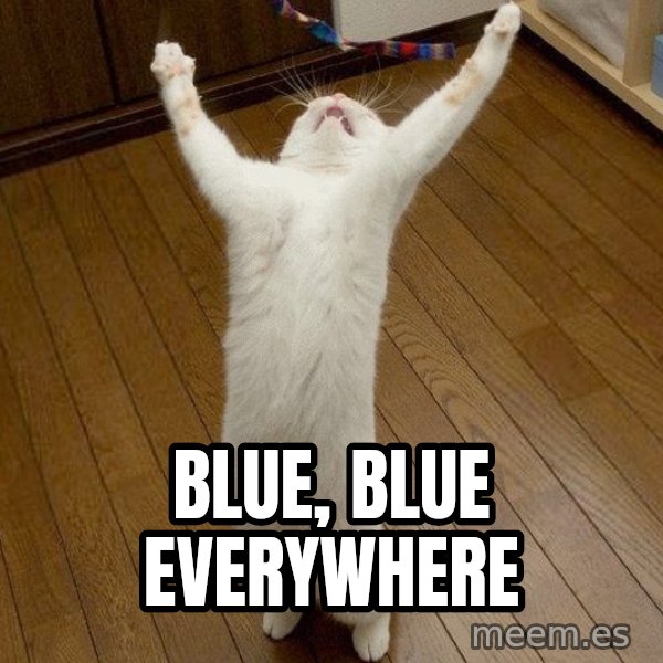 praise the lord cat meme: blue, blue everywhere