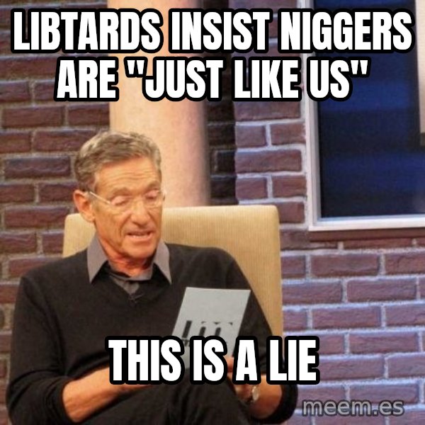 Maury Lie Detector meme: libtards insist niggers are "just like us" / this is a lie