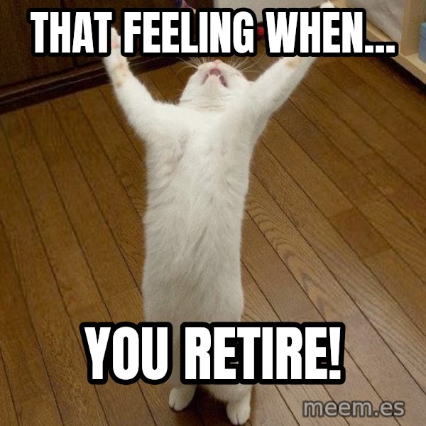 praise the lord cat meme: That Feeling When... / You Retire!