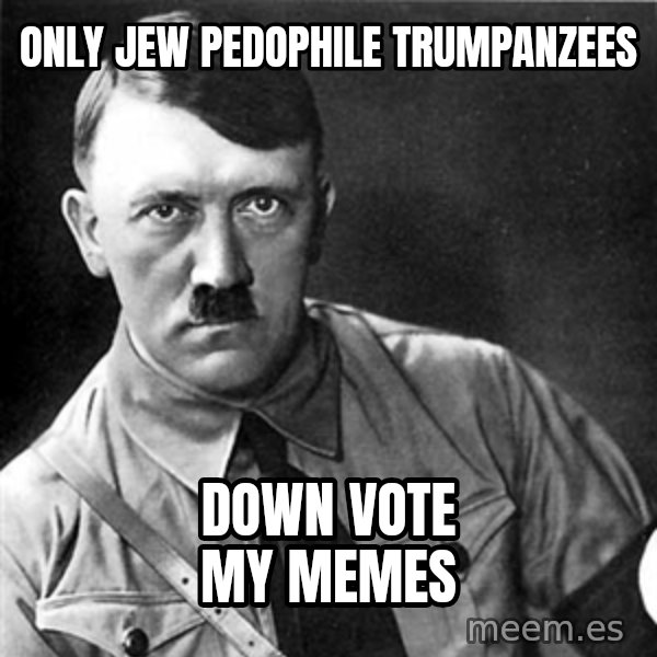Hitler meme: only jew pedophile trumpanzees / down vote my memes