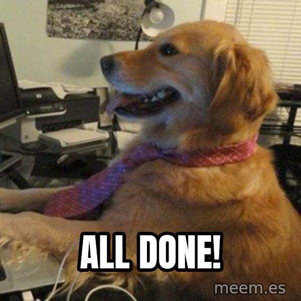 I have no idea what I'm doing - Dog with Tie meme: All done!