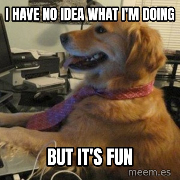 I have no idea what I'm doing - Dog with Tie meme: I HAVE NO IDEA WHAT I'M DOING / BUT IT'S FUN