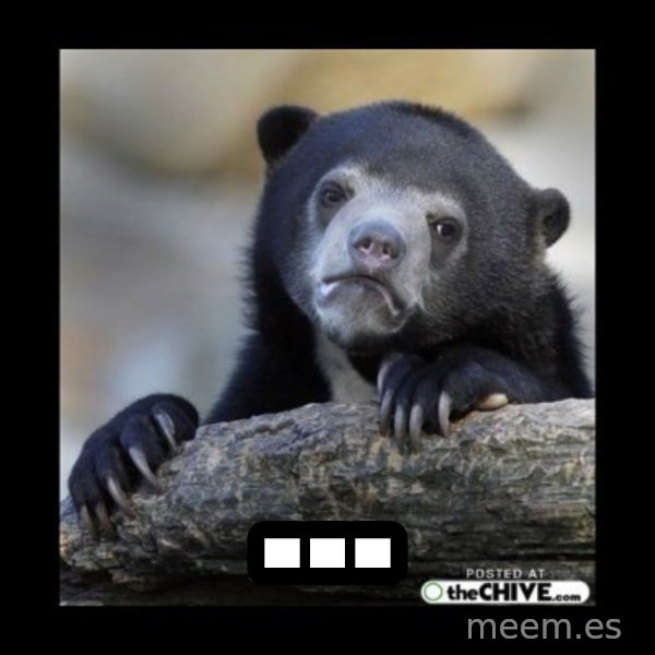 sad bear meme: ...