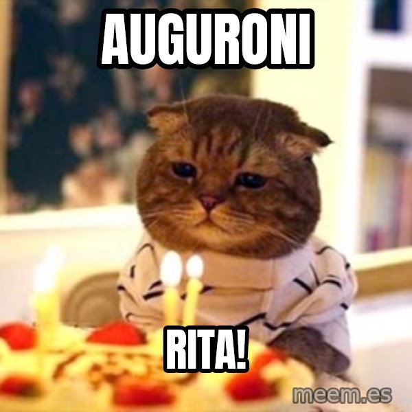 Birthday Cat meme: Auguroni / Rita!