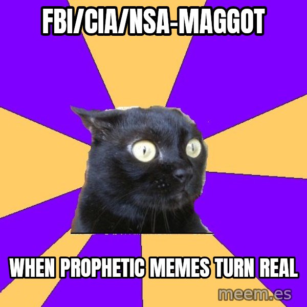 Anxiety Cat meme: FBI/CIA/NSA-Maggot / when prophetic memes turn real