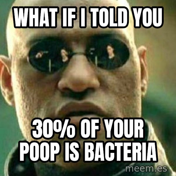 What If I Told You meme: What if i told you / 30% of your poop is bacteria