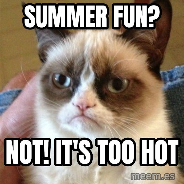 Grumpy Cat  meme: Summer Fun? / Not! It's too hot