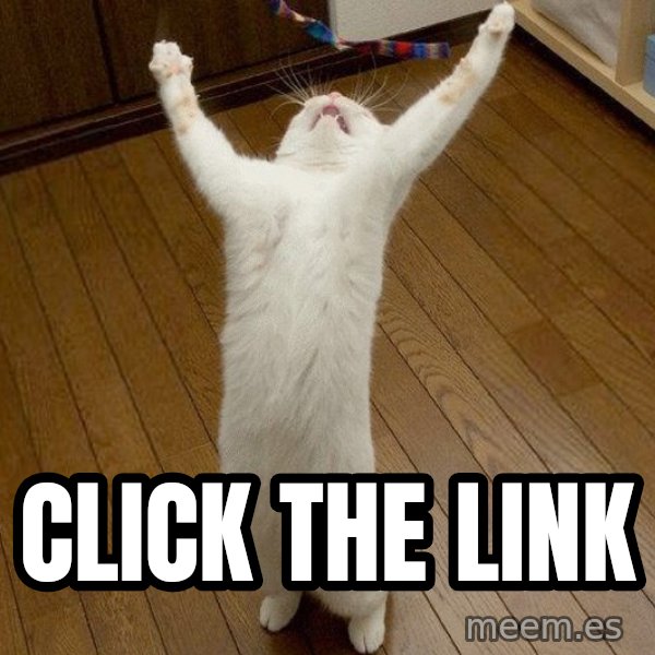 praise the lord cat meme: click the link