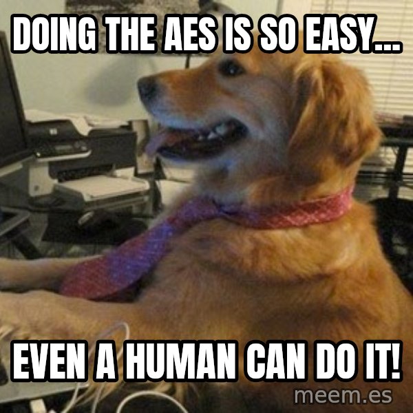 I have no idea what I'm doing - Dog with Tie meme: Doing the AES is so easy... / Even a human can do it!