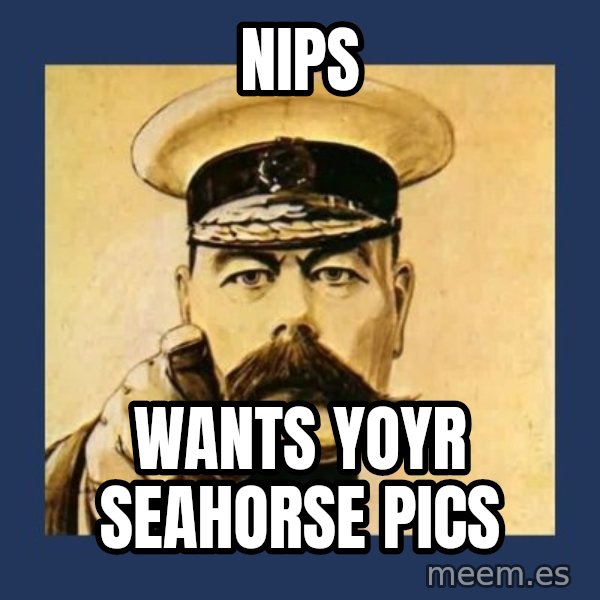 your country needs you meme: nips / wants yoyr seahorse pics