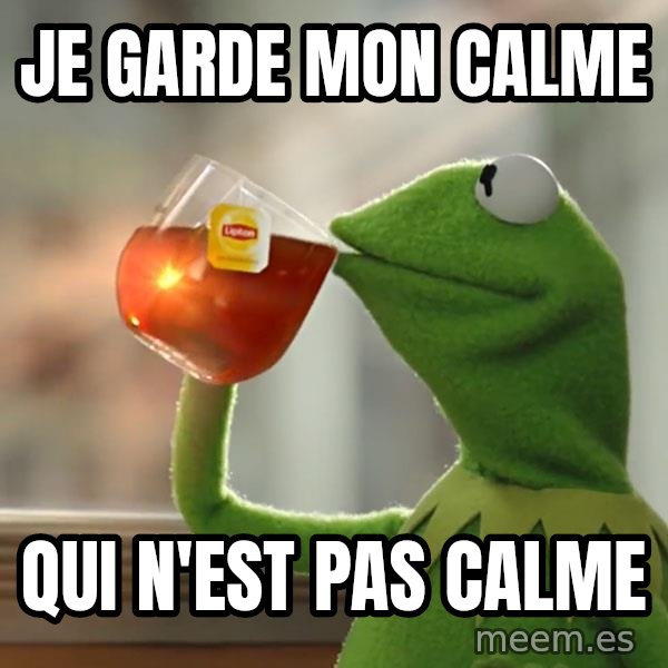 Kermit The Frog Drinking Tea meme: Je garde mon calme / Qui n'est pas calme