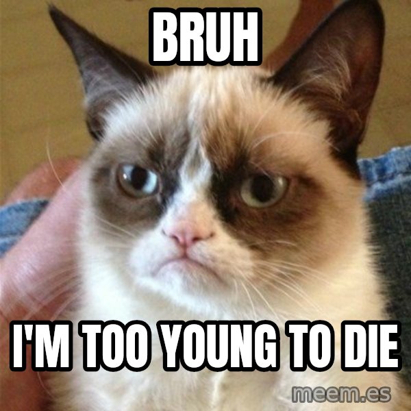 Grumpy Cat  meme: Bruh / I'm too young to die