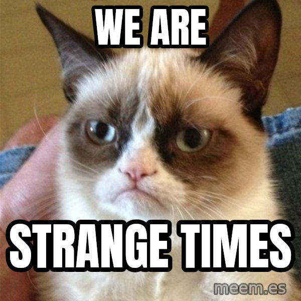 Grumpy Cat  meme: We are / strange times