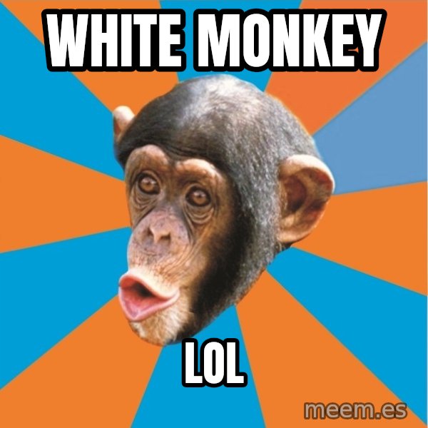 Stupid Monkey meme: white monkey / LOL