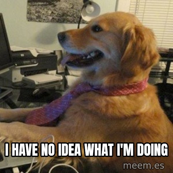 I have no idea what I'm doing - Dog with Tie meme: I have no idea                  what i'm doing