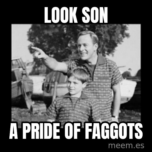 look son a faggot meme: look son / a pride of faggots