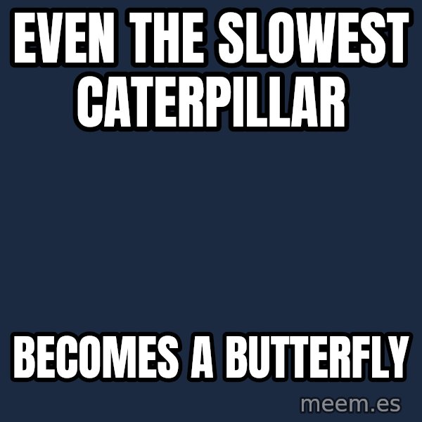 Blank Black meme: Even the slowest  caterpillar / Becomes a Butterfly