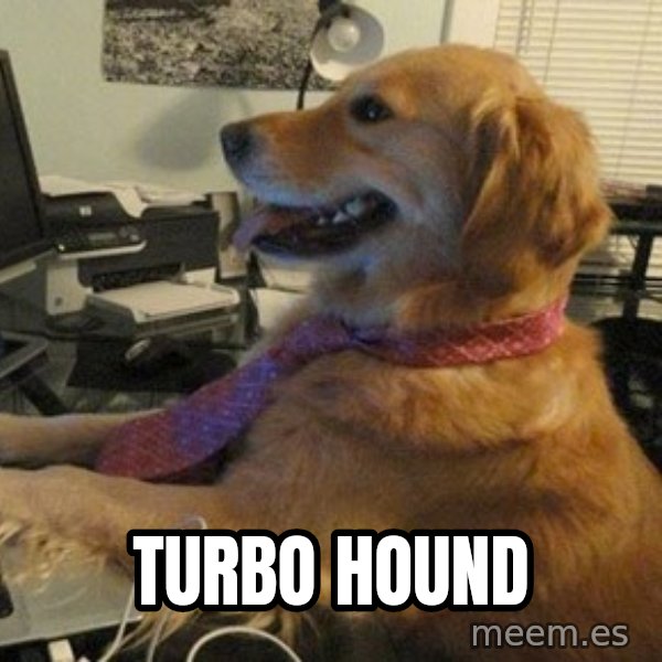 I have no idea what I'm doing - Dog with Tie meme: Turbo Hound