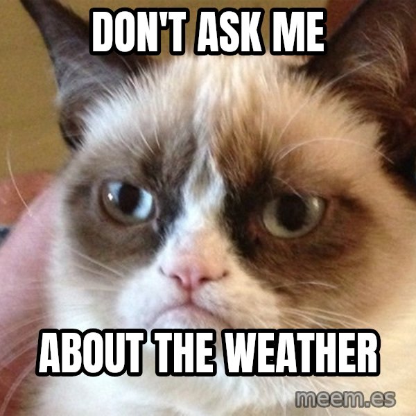 Angry Cat Meme meme: Don't ask me / about the weather