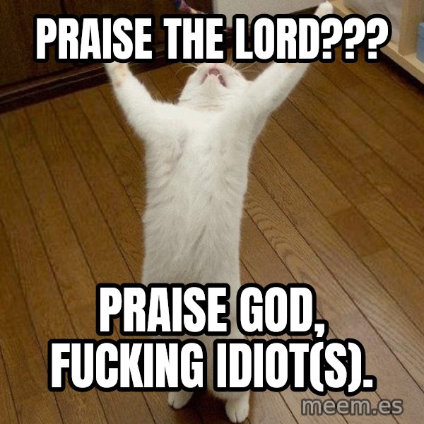praise the lord cat meme: Praise the lord??? / Praise God, fucking idiot(s).