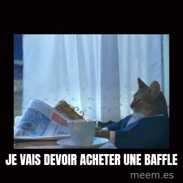 i should buy a boat cat meme: Je vais devoir acheter une baffle