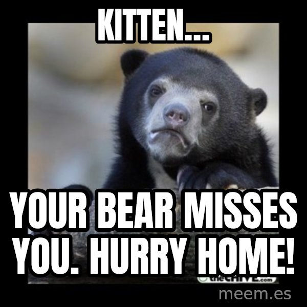 sad bear meme: Kitten… / Your bear misses you. Hurry home!
