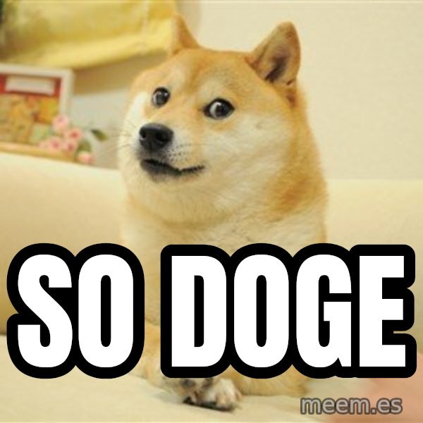 so doge meme: SO DOGE