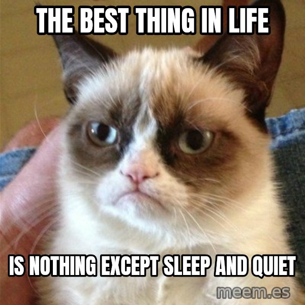 Grumpy Cat  meme: The best thing in life / Is nothing except sleep and quiet